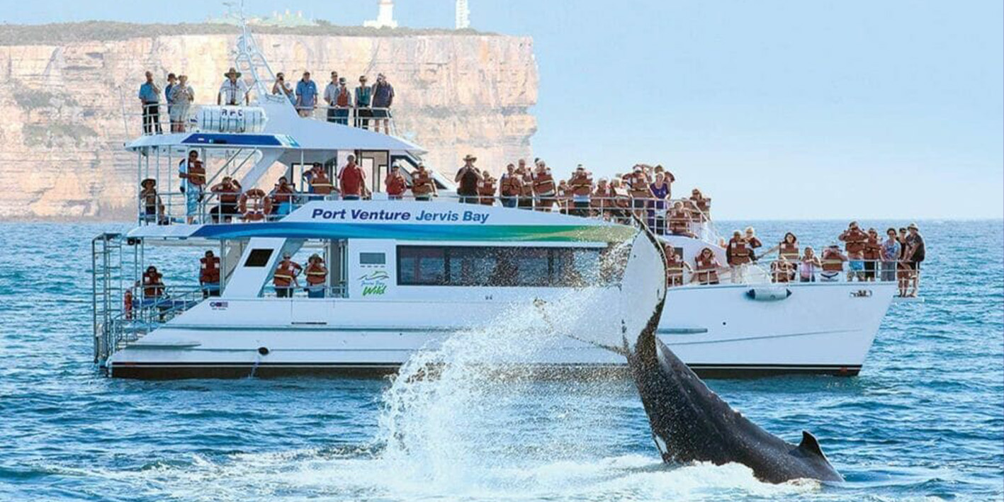 Shoalhaven Socials - Dolphin Cruise Jervis Bay & lunch at Club Jervis